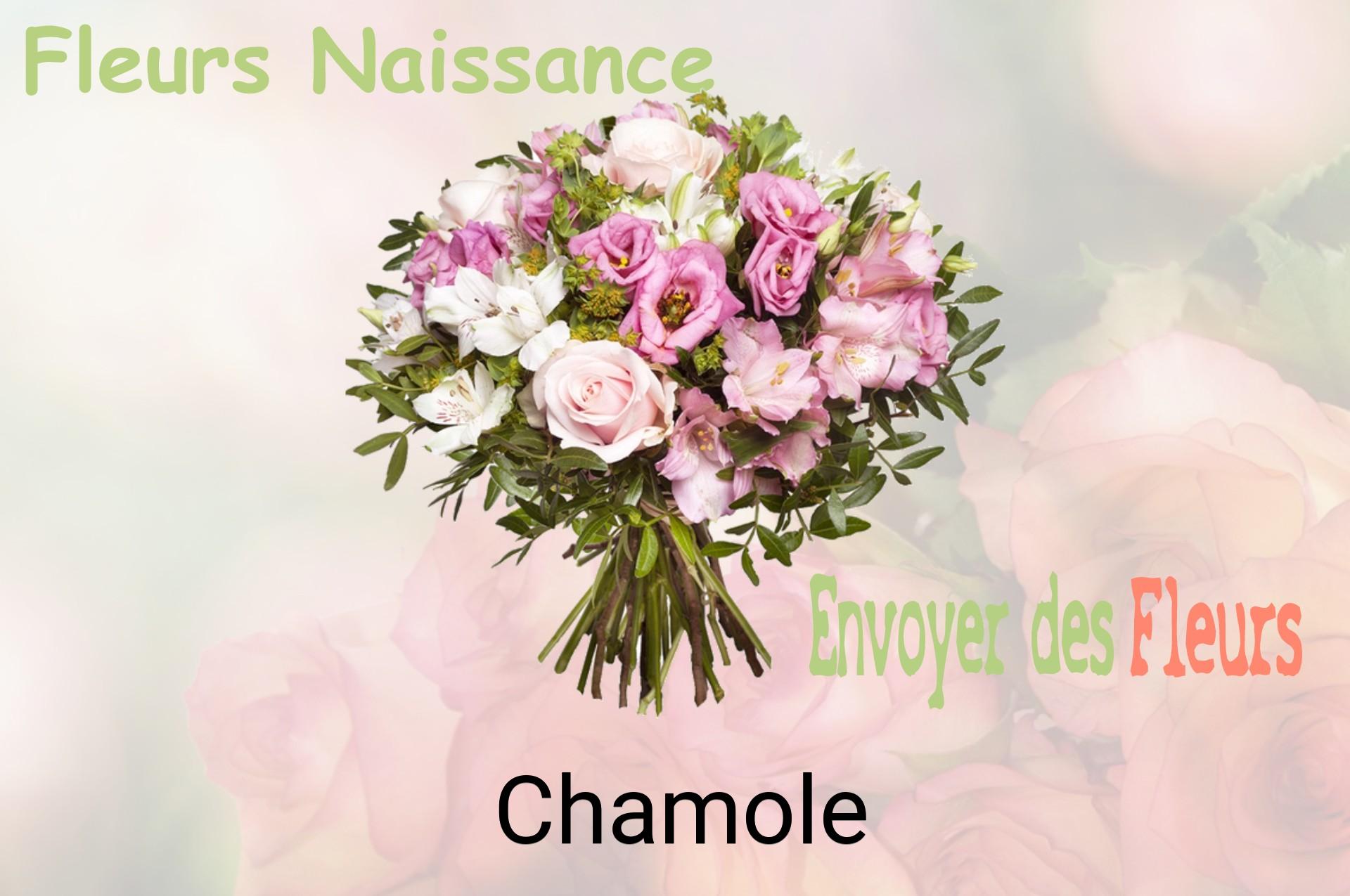 Bouquet de fleurs de naissance livré à Chamole