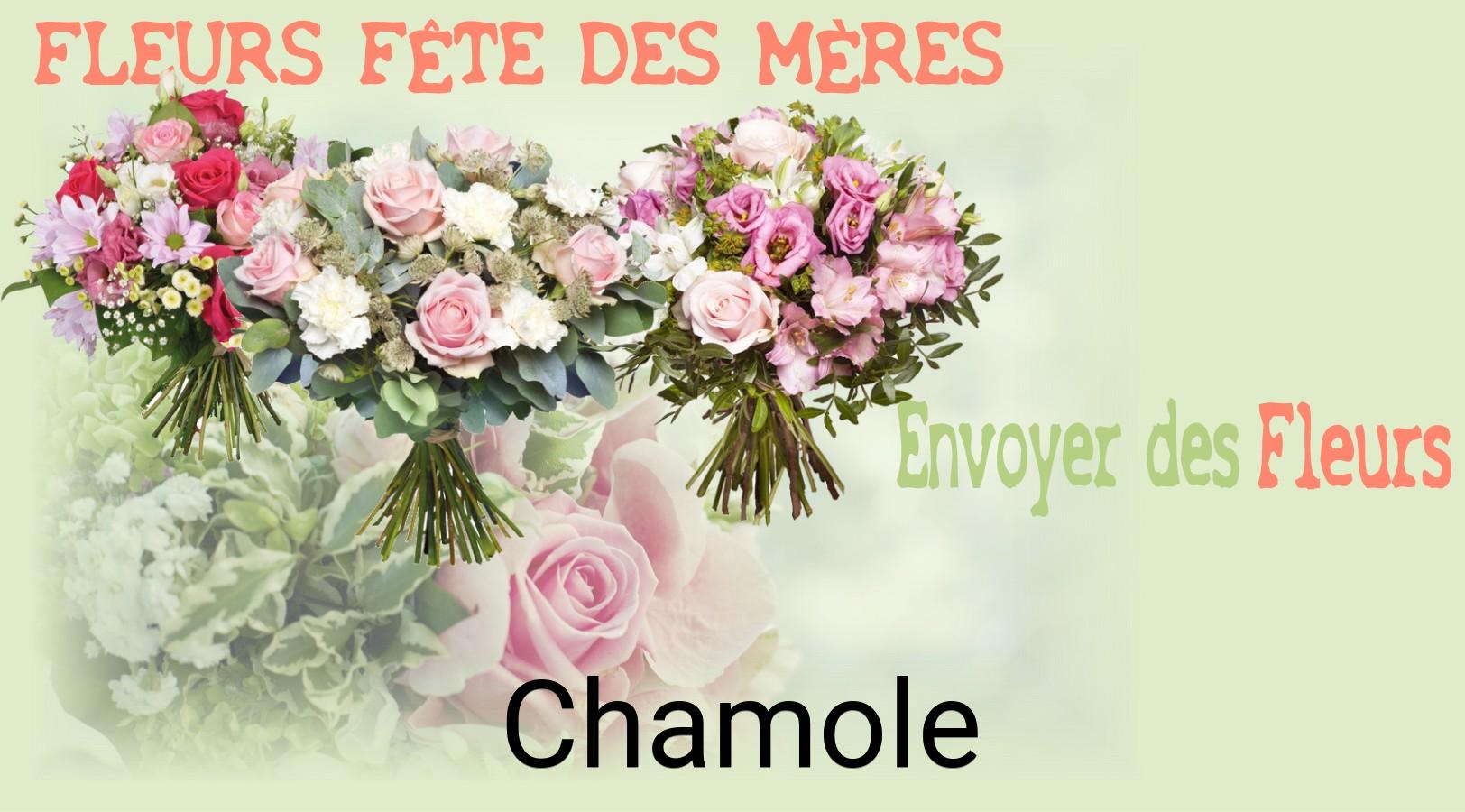 Bouquet de Fête des Mères livré à Chamole